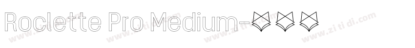 Roclette Pro Medium字体转换